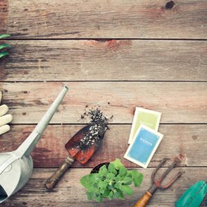 Beginner Gardening Guide PDF